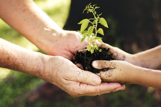 Family planting a new tree for the future
