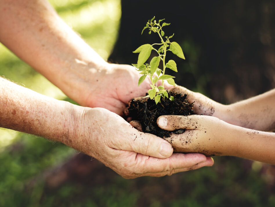 Family planting a new tree for the future