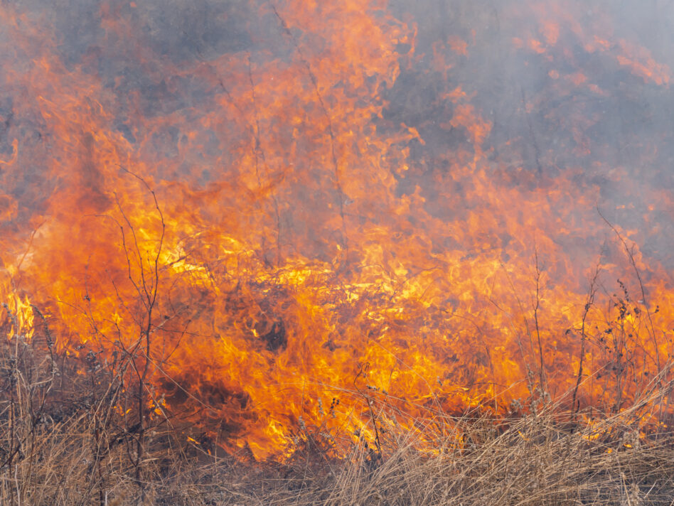 Waldbrand