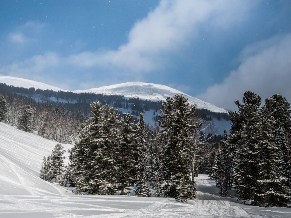 beautiful winter landscape in the forest.