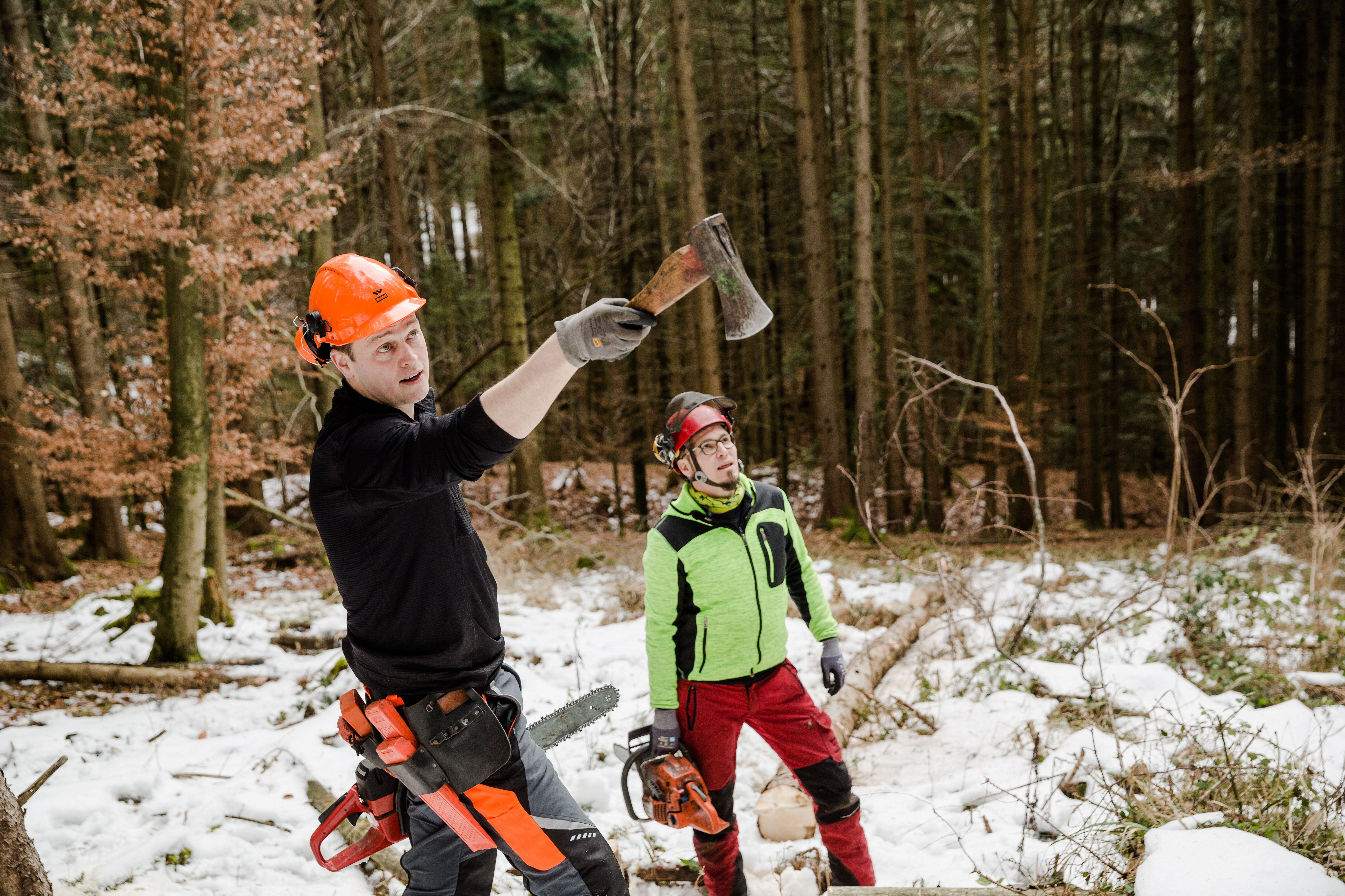 Landessprecher LR Kaineder bei der Waldarbeit mit Forstwirt Lukas Ganser Fotonachweis: Grüne OÖ