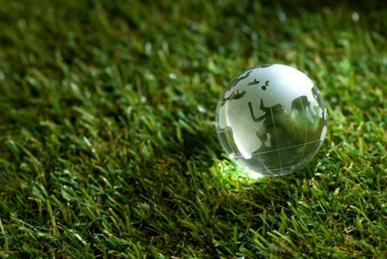 Close up of crystal globe on grass