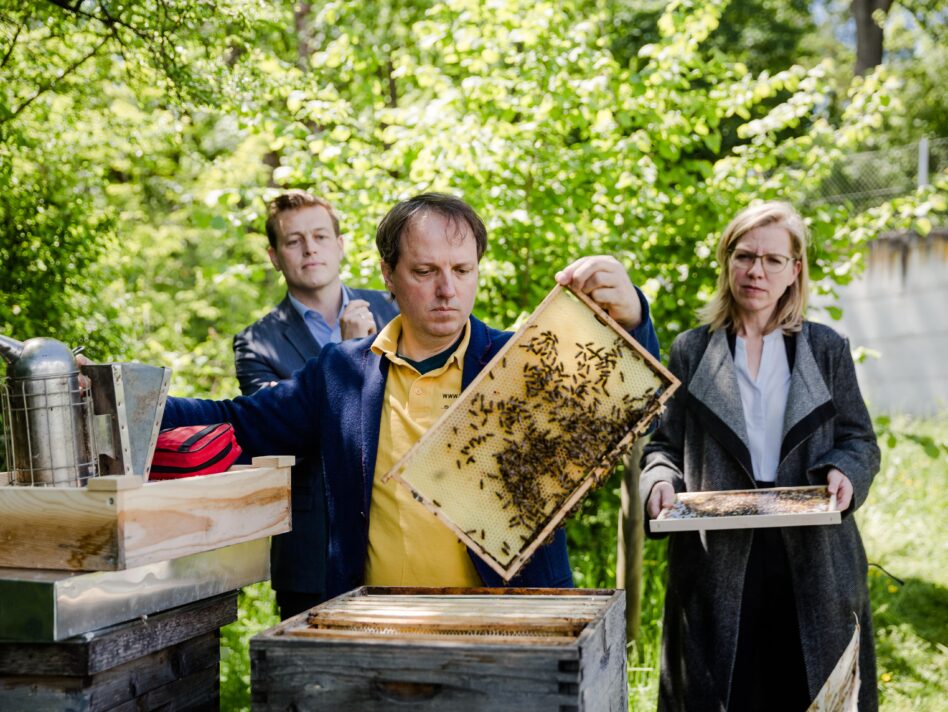 Bernhard Rihl vom Verein LinzerBiene zeigt Klimaschutzministerin Leonore Gewessler und Klimalandesrat Stefan Kaineder die musikalisch summenden Bienen unterhalb der Anton Bruckner Privatuniversität