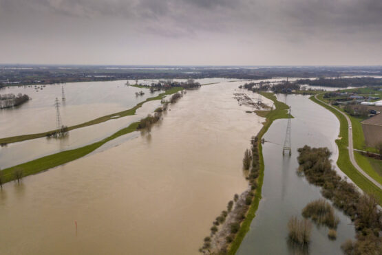 Flooded river landscape with submerged floodplains along river Rhine in winter period near wageningen, the Netherlands