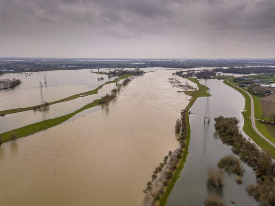 Flooded river landscape with submerged floodplains along river Rhine in winter period near wageningen, the Netherlands