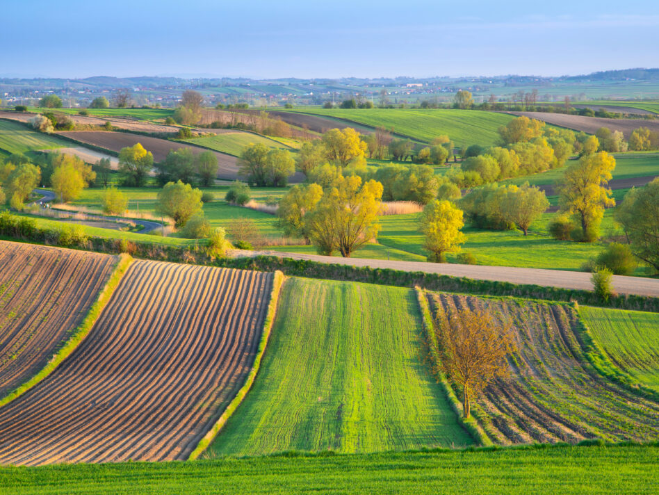 Poland, spring landscape. Plowed agricultural fields in Holy Cross Province near Cieszkowy village