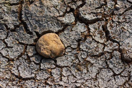 the-image-of-dry-and-cracked-ground-that-reminds-o-862D5ST