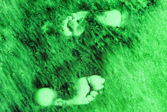 two footprints in the green and black colored sand