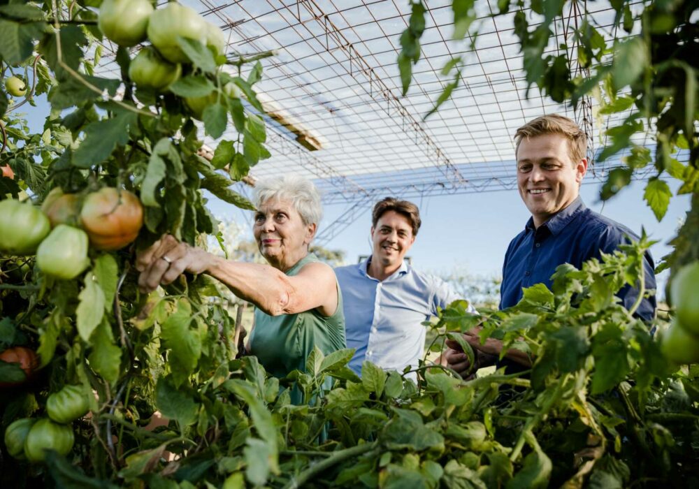 Foto von Stefan Kaineder im Gewächshaus