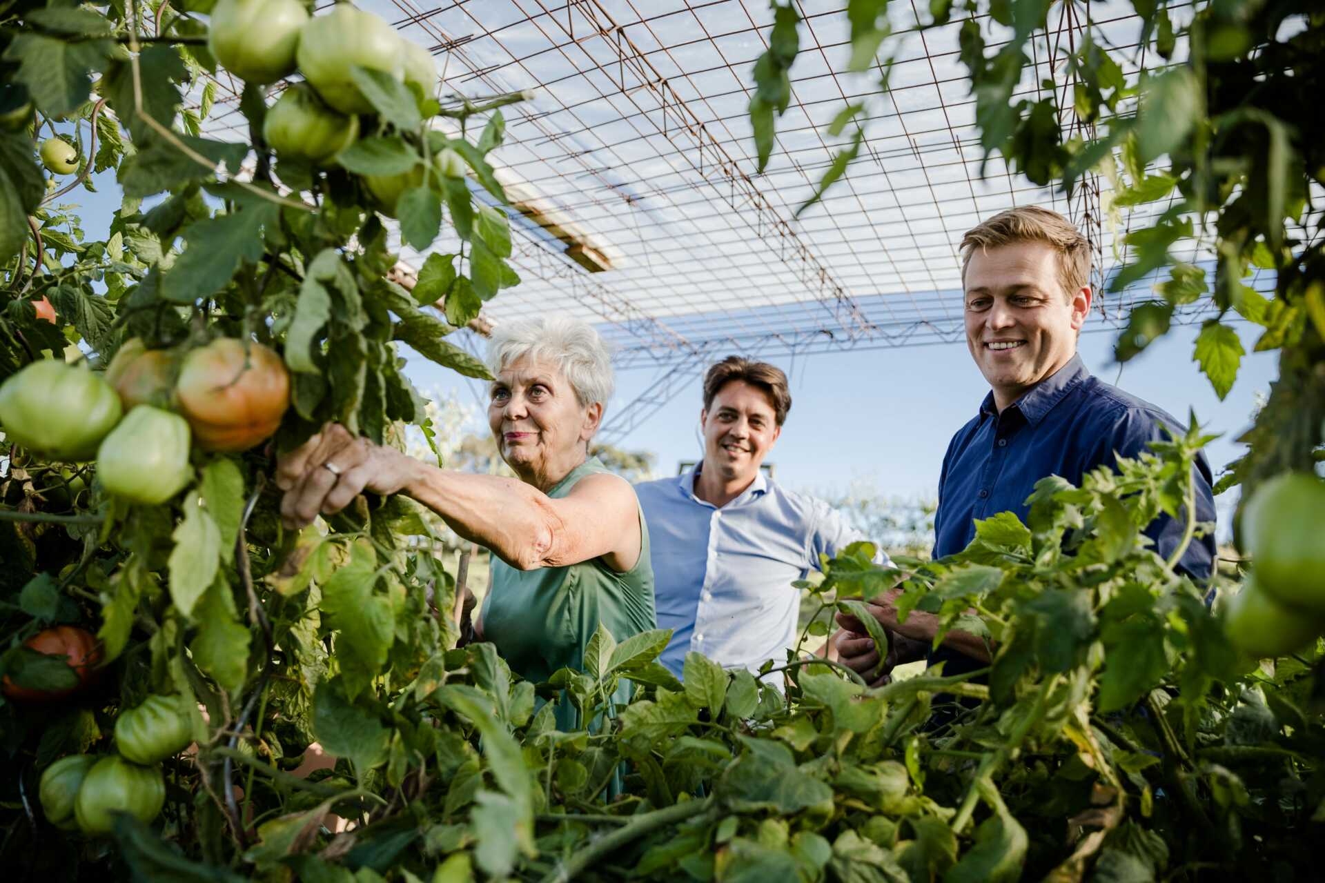 Foto von Stefan Kaineder im Gewächshaus